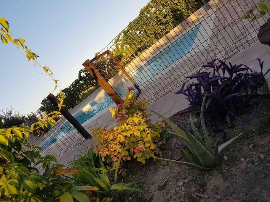 Casa Rural Alma Totanés Exterior photo